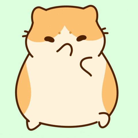 Cute Cat GIF by Bichi Mao