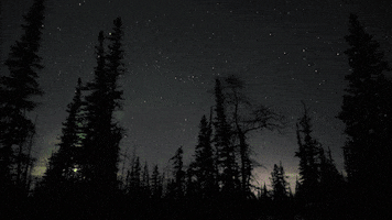 200.gif?cid=b7c015a726jhvrj131ylw0vgel6i