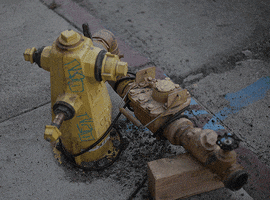 los angeles fire hydrant GIF by Liaizon Wakest