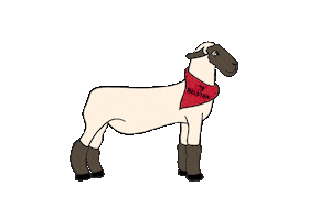 Sheep Sticker by Belstra Milling Company