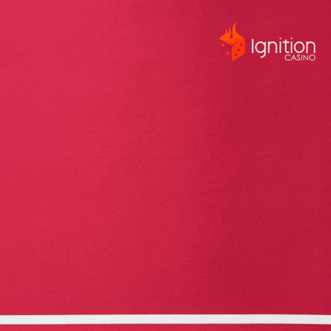 Card Game Win GIF by Ignition Casino