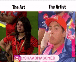 Rajasthan Royals GIF