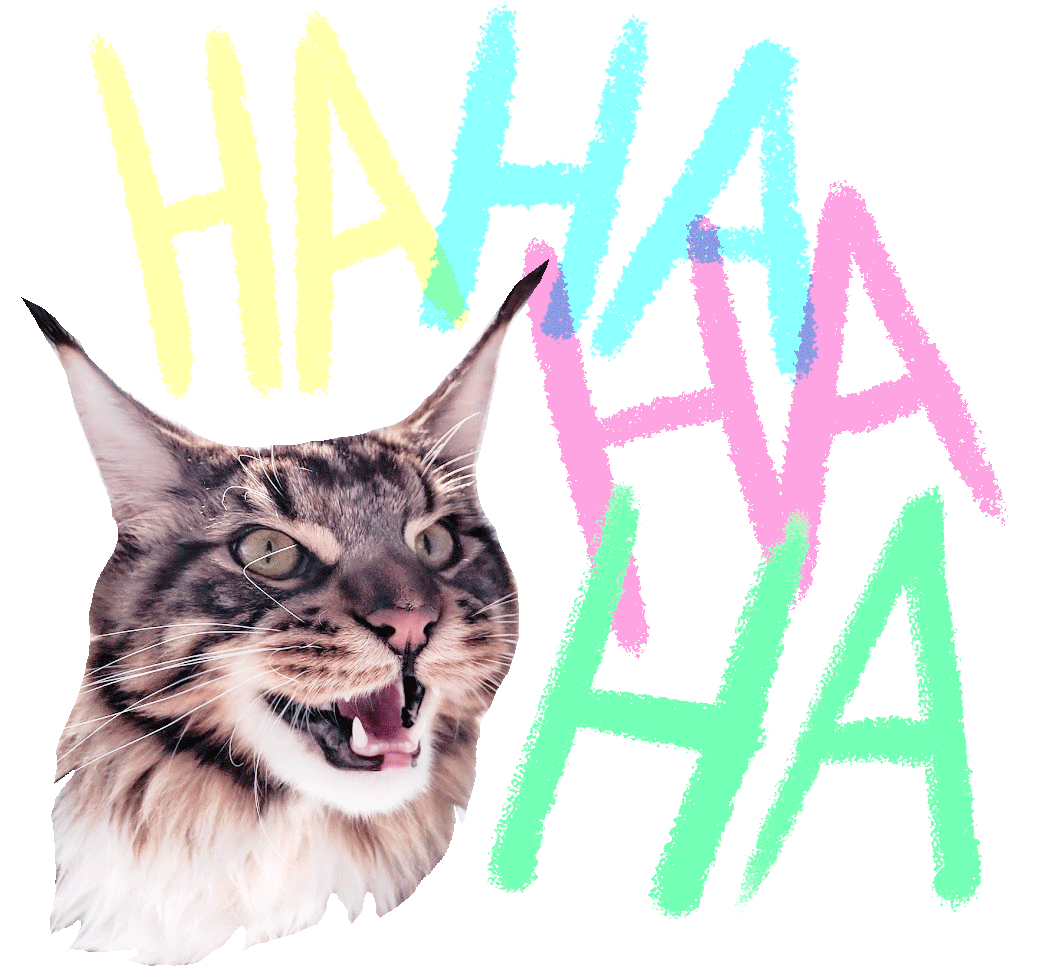 Cat Laugh Sticker for iOS & Android GIPHY