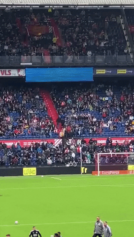 Blue Amigo GIF