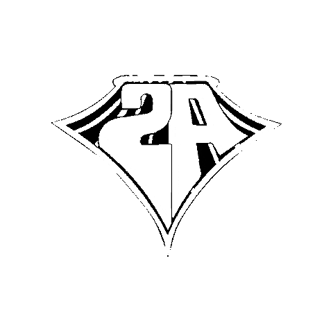 Secondaclasse Sticker by areadocks