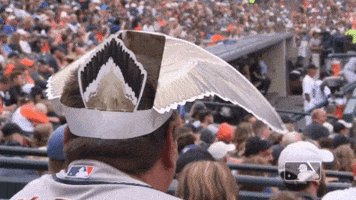 Major League Baseball What GIF by Detroit Tigers