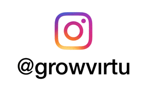 VIRTU GIF