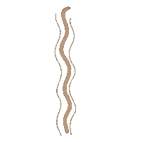 Line Sticker by Concept Verhulst