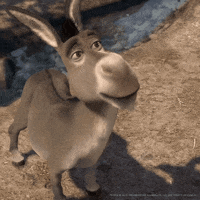 Oh No Deal With It GIF by DreamWorks Animation