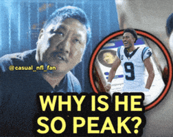 Panthers GIF
