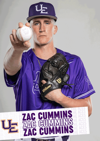 Purple Aces Baseball GIF by UE Athletics
