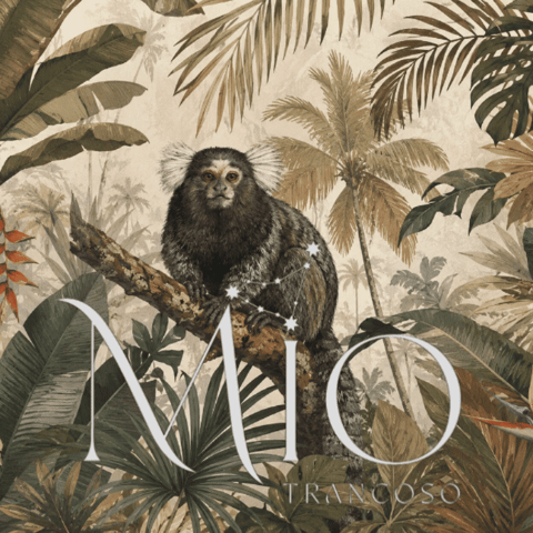 Mio Trancoso GIF