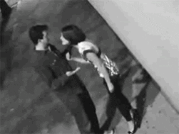 giphy.gif