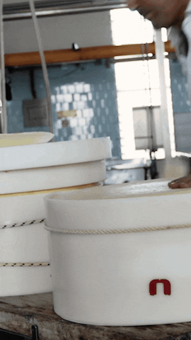 Cheese Parmesan GIF by Parmigiano Reggiano