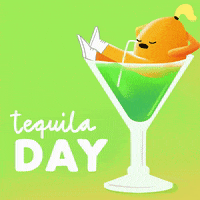 Tequila Margarita GIF by GIPHY Studios Originals