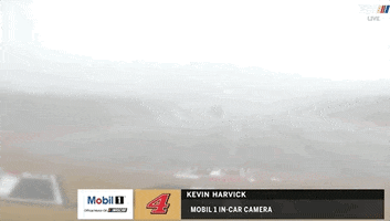 Raining Kevin Harvick GIF by NASCAR