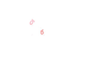 Just Married Wedding Day Sticker by The Vow Exchange