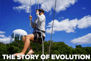 Monkey Evolution GIF by Ocean Racers
