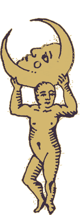 HOCO Fest Sticker