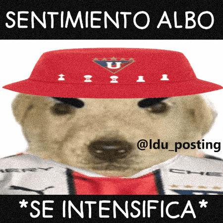 Liga De Quito GIF