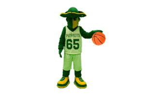 Basketball Patriots Sticker by Adlai E. Stevenson High School