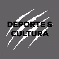 prepaanahuacqro GIF