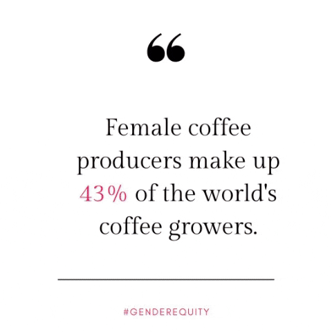 Fair Trade Eco Women GIF