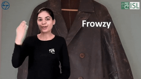 frowzy meaning, definitions, synonyms
