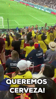 World Cup Beer GIF by Storyful