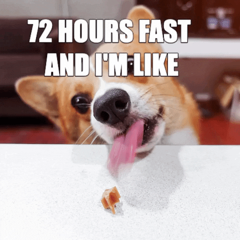 Intermittent Fasting GIFs - Get the best GIF on GIPHY