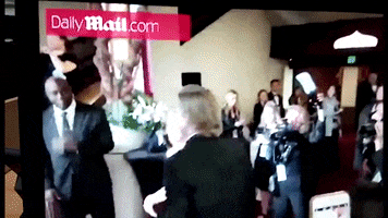 Bradpitt GIF