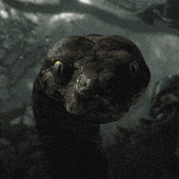 Scarlett Johansson Snake GIF by Disney