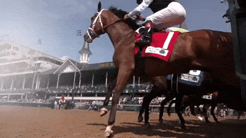 Horse Racing Sport GIF by Kentucky Derby