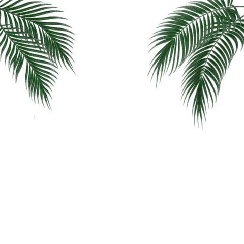 Posto Nove Studio Sticker