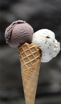 Cafe & Bar Wunderland GIF
