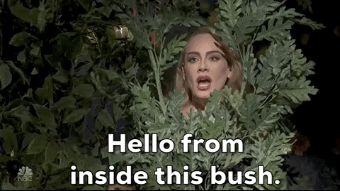 Snl Adele GIF by Saturday Night Live - Find & Share on GIPHY