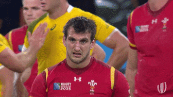 Sad World Cup GIF by World Rugby