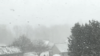 Heavy Snowfall Brings White Christmas Eve to Western Michigan