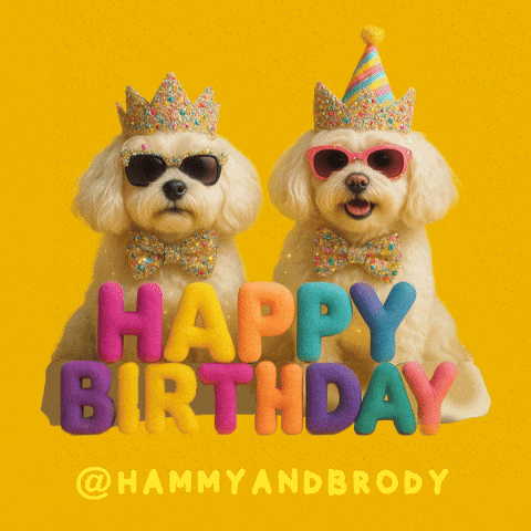 Celebrate Happy Birthday GIF by HammyandBrody