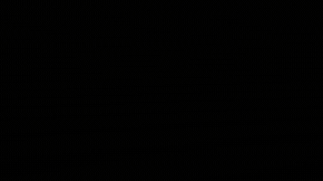 Selva & Co Realty GIF