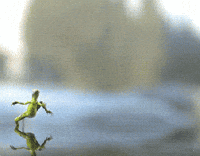 Animation Running GIF Animation Running GIF