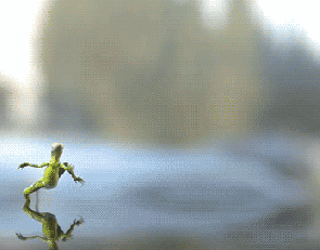 Animation Running GIF - Find & Share on GIPHY