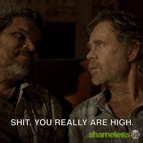 Episode 1 Showtime GIF by Shameless