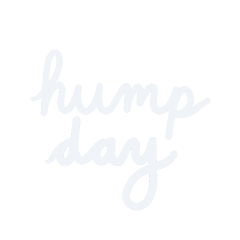 hump day wednesday tumblr