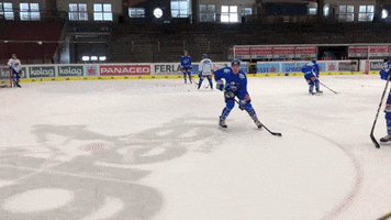 Skillz Company GIF