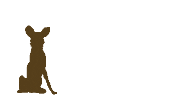 Zambian Carnivore Programme Sticker