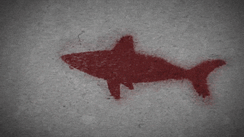 Discovery GIF by Shark Week
