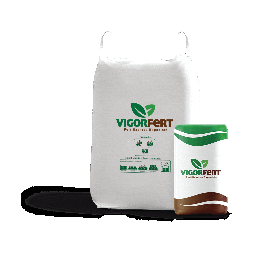 Marketing Vigor Sticker