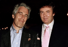 Epstein Mehmet GIF