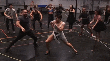 Lyric Opera of Chicago GIF